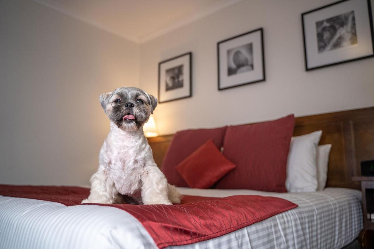Mercure Canberra Kültér fotó