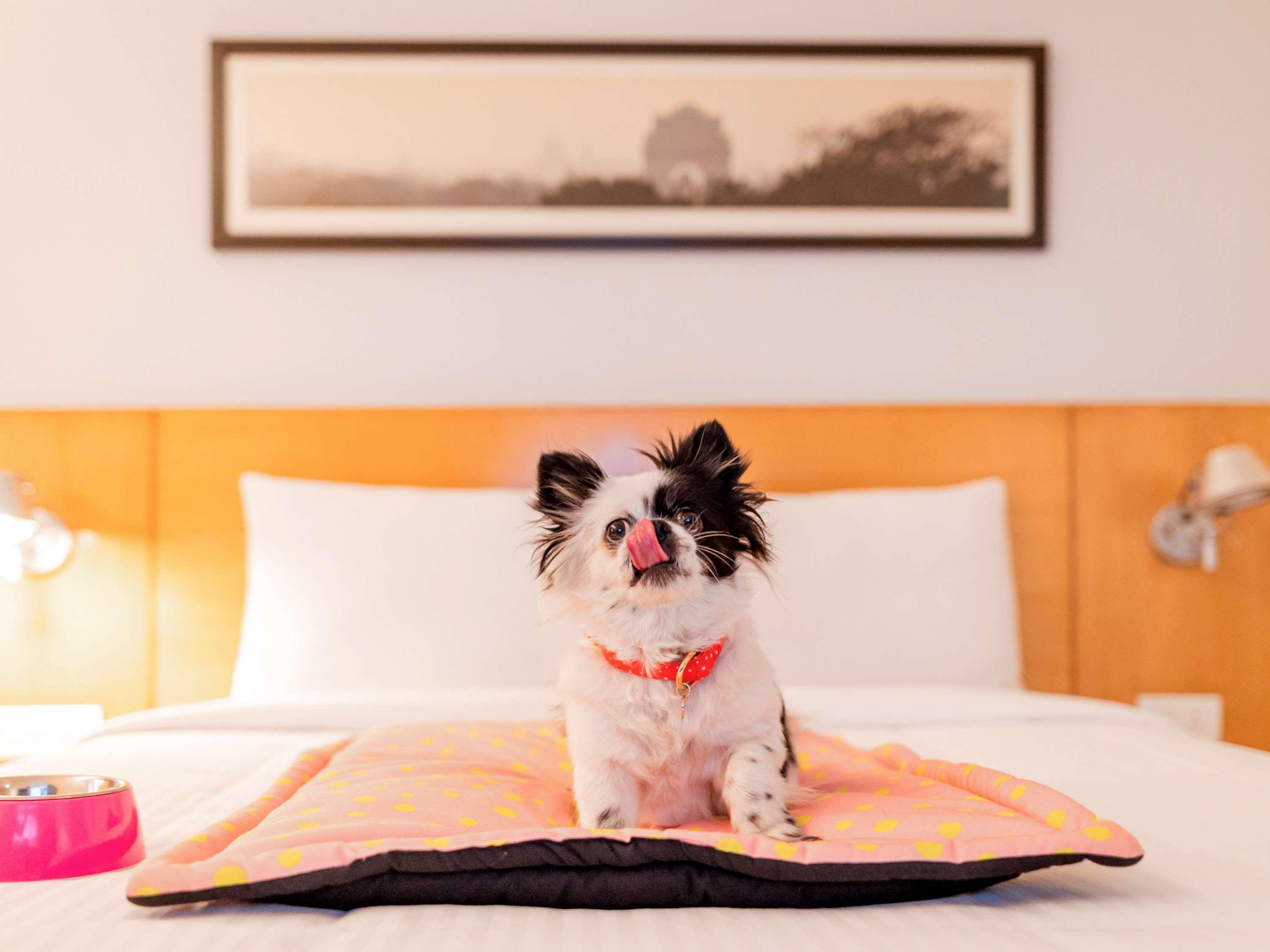Mercure Canberra Kültér fotó